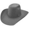Resistol Kids' Pay Window Jr. Western Hat