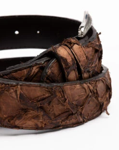Cody James Men's Brown Pirarucu Exotic Belt -Little Wild Horse Shop 2000291696 200 P4