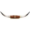 Shawnee Trading Post Authentic Medium Steer Horns