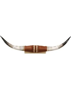 Shawnee Trading Post Authentic Medium Steer Horns