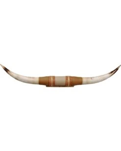Authentic Large Steer Horns