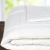 HiEnd Accents White Down Duvet Inserts - Super King